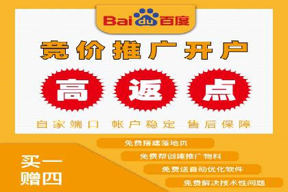 百度广告投放策略优化的经典案例